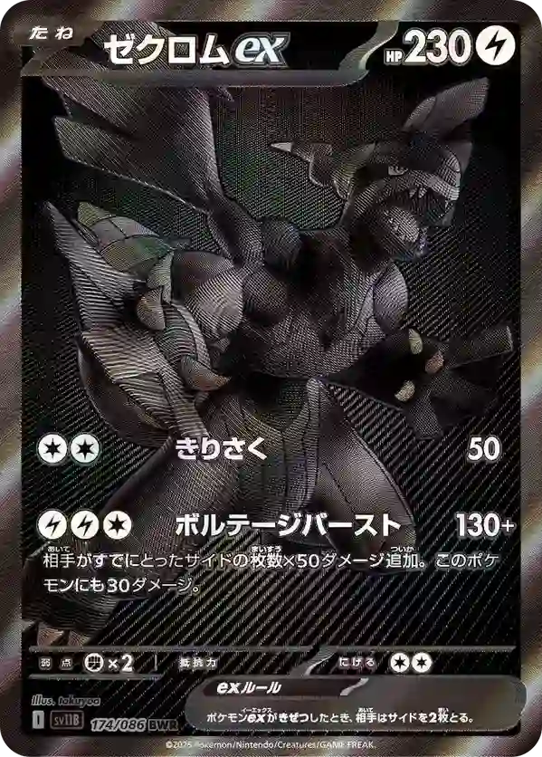 Zekrom EX Monochrom